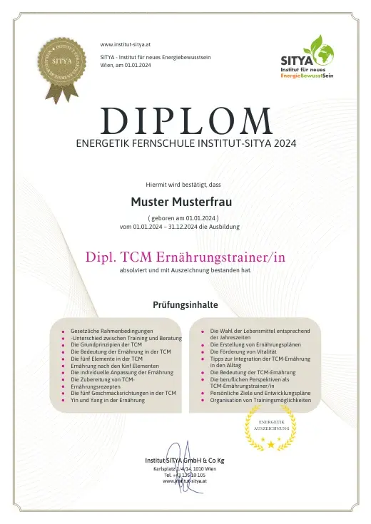 Musterdiplom für Dipl. TCM Ernährungstraining