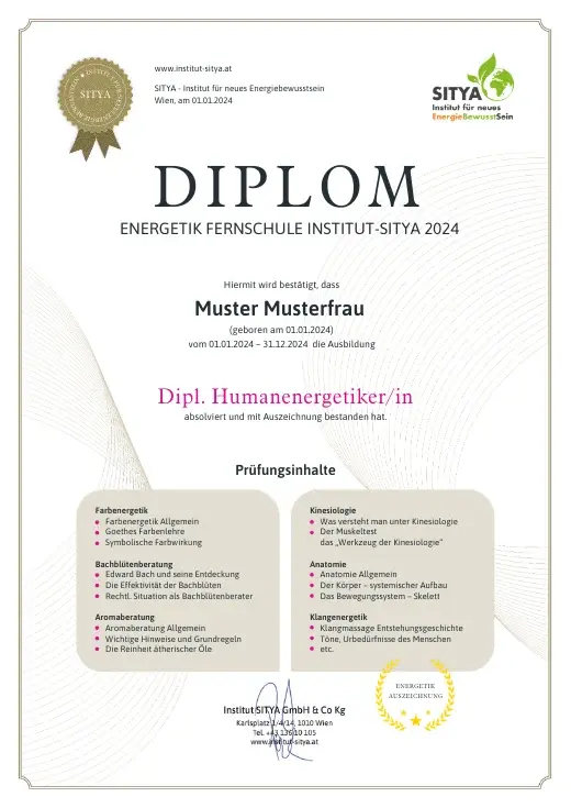Musterdiplom für Dipl. Humanenergetik