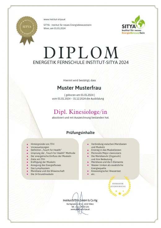 Musterdiplom für Dipl. Kinesiologie