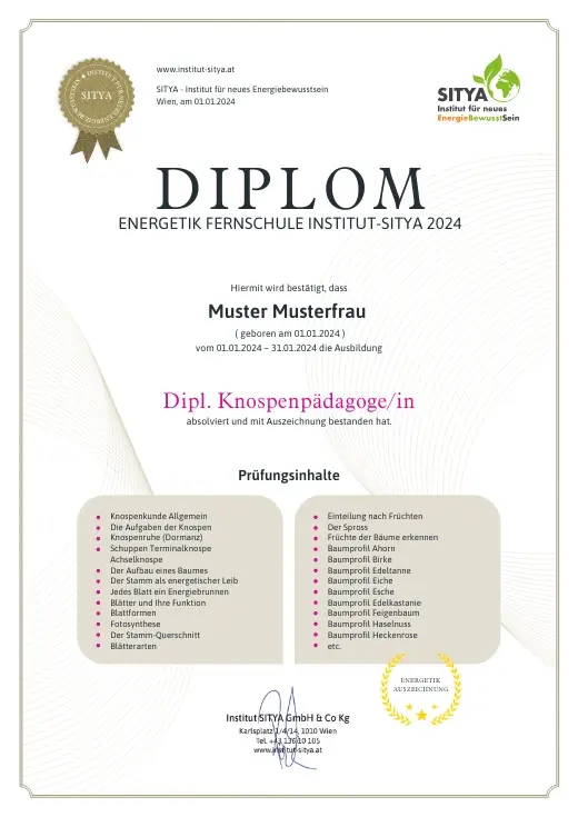 Musterdiplom für Dipl. Knospenkunde
